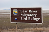 Bear River Bird Refuge, Utah